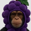 Coin image for H8yefQnKduP9TD5HhZ2f6BXP3wNoF9CHRKRGkpJSpump