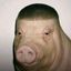 Coin image for H9GA7PskmzimrrdMfseBnSGLzLkxkXRstMCmXVr9pump