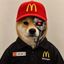 Coin image for H9Kkbu9MP4BUDq6P1xZ7eRckYpL9oyxTnJTxZJm2zueY