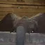 Coin image for H9hrZfCqpTSfZygdV1jDjrhgMxmaiPA3frSb3v3BwtVP