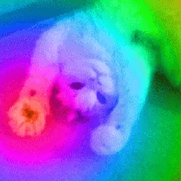 Coin image for HA7Lk6GRj3MPVPNvdHkTDF1e4UZodn13iqGK9RfFpump