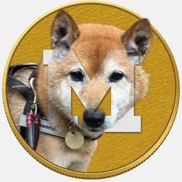 Coin image for HBdmT6gAKRhdKxcfSdXMjCBUqTpCSN9uMWheLSxpump