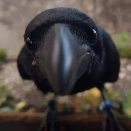 Coin image for HBiKbBV9UegCKyEZ3FzdRFfVMJ8fhx2zyT6gbfCppump