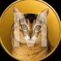 Coin image for HCFu4B2KyQhZXhmhEmj8RQE2EhCyEUP1wNWa9S51pump