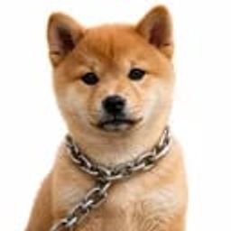 Coin image for HE15UbDrFBrE2JUTbDqqcRrAETTazfbtMUGnXRtmpump