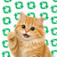 Coin image for HEdviV5fXwxQPDFWtjYuyLDaeok71p4ucAZhtPkmpump