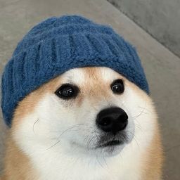 Coin image for HEoNVBfajYexDTf4KUSt9JcBSePjRLxU8Ua9mUL2pump