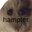 Coin image for HEwMEYbWfM6rQ4NVhYCk18LhywxefjsHbRuRHSj4pump