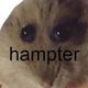Coin image for HEwMEYbWfM6rQ4NVhYCk18LhywxefjsHbRuRHSj4pump