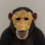 Coin image for HFXfUebiQ1cG9kRiTVEgBCVmtNkVSJCfkBKnx6AzYGNt