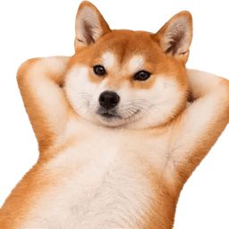Coin image for HFgMTt2duwHrKTJXtLSUVvBcK5rabFvb7AC6bKZFFftp