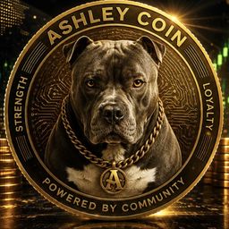 Coin image for HGxe1MqfiQ9YAbUuA974AujTTTTcNJg5X4t9S1Snpump