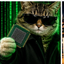Coin image for HHJfFiJxqPqRYdx5RfG1Hd8RQYhDfF6Yzr5Mg38Xpump
