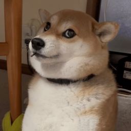 Coin image for HL5ojdDZzAwN7fLLhDfy37SRbiYZbKSAtCaKTqaopump