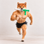 Coin image for HLjsV1MCoib3VVbk9KGmtCvhCwYFxQ6ytwQVz6Dxpump
