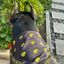 Coin image for HLqYKMDjy53AeBpWjeawJjDRGX3xUFPhZayMKgH2hWRR