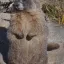 Coin image for HN3nxxTjHqVbDdcGZJDCpfqaZUNpBWD7NNn4Gg6Lpump