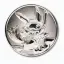 Coin image for HNe5vjQkFZpd6kEtvnG52R6gCsPq1xBaVac8C4oopump