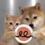 Coin image for HNsjuHPuqFUasBL7iGFpT8mQ8A5vdY7RmwyqqWaHTQRP