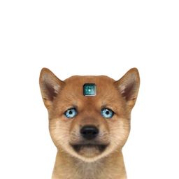 Coin image for HQDppF1RzkfAvmBihSFzwPoCihKAzLBxGj1Yafvjpump