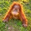 Coin image for HR7TbKFQjRRSV94h9oa2ZpbqoSQKAUChCuhkrzsvit52