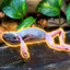 Coin image for HRGnEurKN45B7pLHZGgqUJ4rkQ6wbPQi8SJjmiF2pump