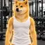 Coin image for HSgXmJzgUNn16FZ8jgthA33y2yDmHcsyS1sCBNWnpump