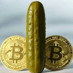Coin image for HT1KJ4YWN8urEifdprwLUr94kNNATybAzHUC6ZAgpump
