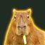 Coin image for HTGXfkdwzXMrmGf5km6fXV7LZHmovXcDt1BApqEqpump
