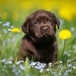Coin image for HTZaoczJbJbf84LP2rKY2UhuRwLy2fATJXJMrmnWQJYv