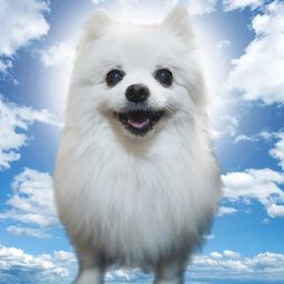 Coin image for HUWAb1uiEdN6QjDjp2NtteAhdrNeiX7WtGAQTwedpump