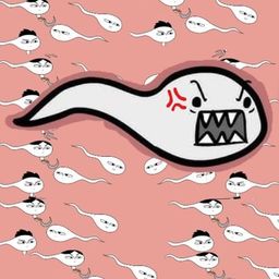 Coin image for HVdbXWVSDmk5qBduHbX51irdZPwHa6LyxHVMMfYqpump