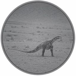 Coin image for HVxBSMnJs7pZ23SCvWMcbkumMdAd7iocbHvswcC8pump
