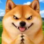 Coin image for HWgiGQNWCSJ7ffTTZYsjGNHusAeEmHCrXGDETZQvpump