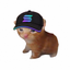 Coin image for HXSzSRBXqvsNmnvwSY2PghwUNmqqH1Du2YFHotvqCwnK