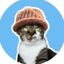 Coin image for HXbn9doVsQp2ZKoVqWrStLsntJz99y8NK3B5YoQppump