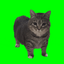 Coin image for HXrWhwMzkn1jeukKVUWbCAXjeSoAnHzDWhdHxfs2igif