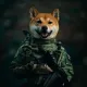 Coin image for HYAsZGcMysLtHEbrFKQhPSHkdPeCyYxRqFKj4UNzKgDd