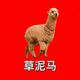 Coin image for HYEqzXq3iyYibVAME3oSTHZcjmaZo4g4vdEsFRzFpump