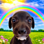 Coin image for HYUG5jnRVMxVKJpByWMtVLFY6fdZ4vV7zdjDKKVDWf1b