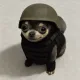 Coin image for HYsw3eBrgUwbAeoHMHsmz12WDNrgrZgzpQN8e72Lpump