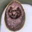 Coin image for Ha4wXz1PHpurYjiGVcjXac6hGKrvk5YjAQiVRTqApump