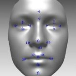 Coin image for Ha8PUoptApf14vkB6BCUuCbCQNbQKzBxK9XCEUFjhdA1