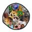 Coin image for HaUqqE4m1WspjisZvD75z3Dwrn3FDxhu4TkzikUCpump