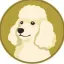 Coin image for HbWGKr8WtBpWuJzAxsBXmsVgFoytrGP7EyGuB3U3V8Bv