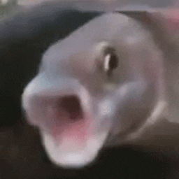 Coin image for HcxrRixRbUaEeZCVYMNAPvuUWiGxZTakrUt2ku7gpump