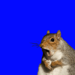 Coin image for Hd8Akh8CAqf65PqUNz5SZdXT9CCadCyLaFvrYwifpump