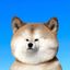 Coin image for HdKxeadxbTHfGF3x6kPPxFG5ay5XZnvePfwR1NLzpump