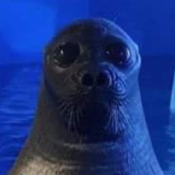 Coin image for HdgSjsvi5Vhe8aFmHorYh7oeMjfnDvfDbQHXZms5pump