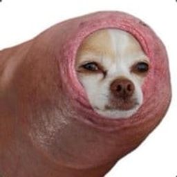 Coin image for HergFeAeXr1mrgAzbHUW2v16oLR4pfc2yXaBaeWBpump